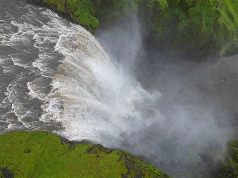 Miloslav Whisky Láber so svojim psom Maxom