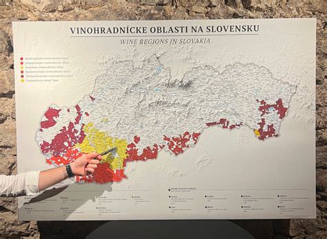 Infografika zobrazujúca obrat slovenských vinárskych spoločností podľa veľkostných kategórií