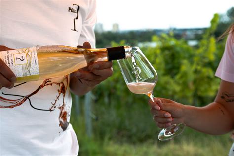 Návštevníci degustujú víno vo vinárstve