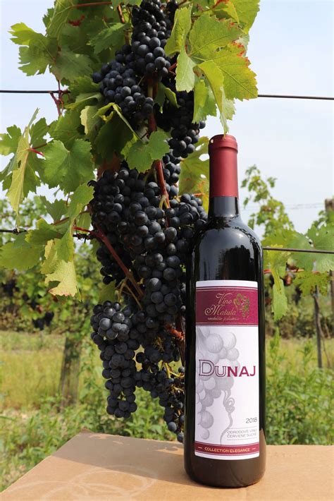 Hrozno a červené víno