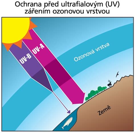 Diagram znázorňujúci vrstvy ochrany v prepravnom obale na víno