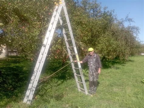 Slovenský jablkový sad