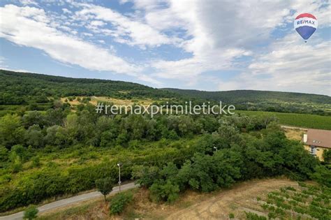 Fotografia svahovitého terénu s riadkami vinohradov v Rači