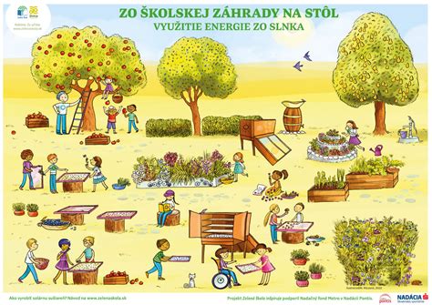 Obrázok rôznych druhov ovocia a byliniek, ktoré môžu byť použité na dochutenie radlerov