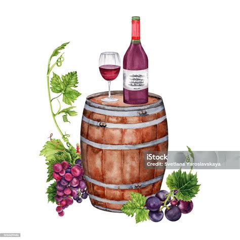 Ilustrácia viníc s hroznom