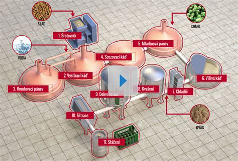 Infografika vysvetľujúca proces výroby nealkoholického piva