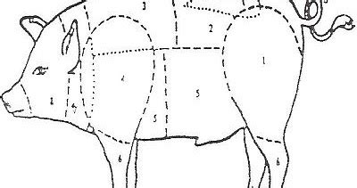 Ilustrácia rôznych častí bravčového mäsa