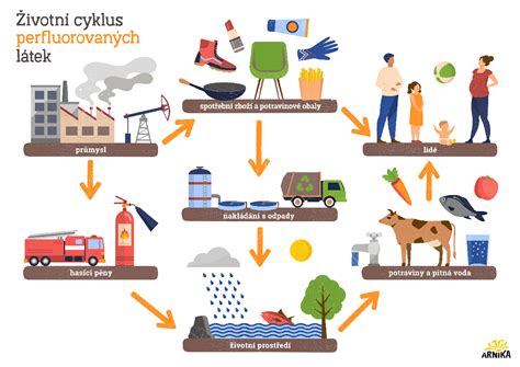 Infografika znázorňujúca kolobeh abstinenčných príznakov a potreby piť.