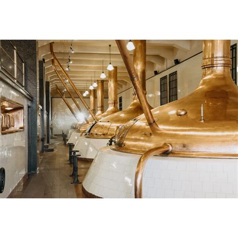 Stará fotografia alebo kresba pivovaru Pilsner Urquell