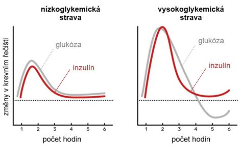 Grafické znázornenie hladiny alkoholu v krvi a jej vplyvu na človeka