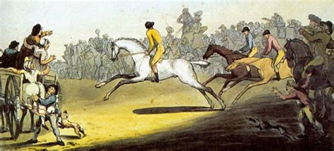 Ilustrácia cisárskeho žrebčína v Kopčanoch