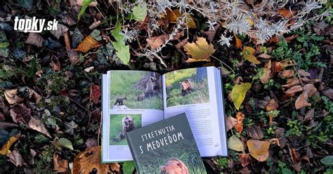 Ilustrácia borievkového kríka v slovenskej prírode