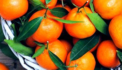 Čerstvé mandarínky a pomaranče na prípravu punču