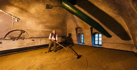 Proces hvozdění sladu v Hurbanovskom pivovare