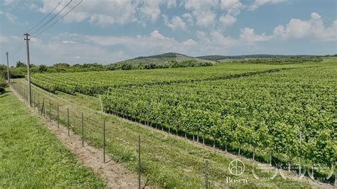 Mapa Nitrianskej vinohradníckej oblasti