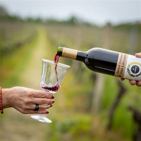 Príklady originálnych vtipných etikiet na víno