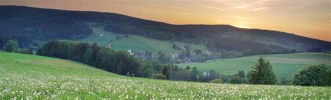 Česká krajina s vinicami