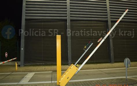 Ilustrácia fľaše borovičky s borievkami