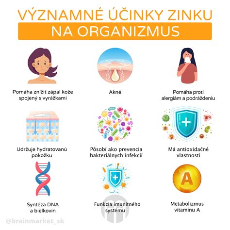 Infografika zobrazujúca prospešné látky v pive a ich účinky na telo
