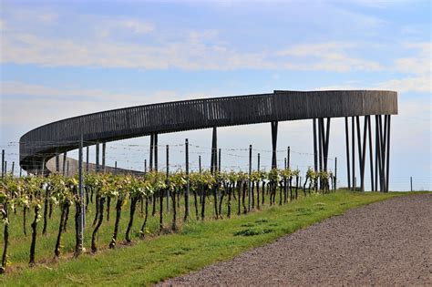 Vinohrady nad Radošinou