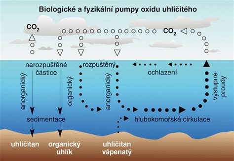 grafické znázornenie obsahu oxidu uhličitého v pive