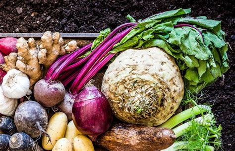 Koreňová zelenina a hovädzie mäso