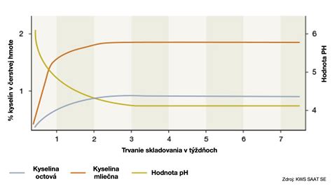Diagram znázorňujúci proces studenej fermentácie