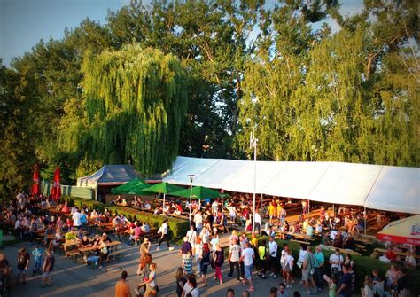 Ilustračná fotografia rôznych druhov nealkoholického piva