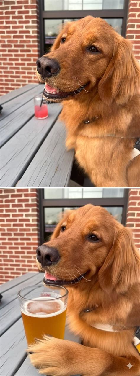 Pes s prázdnym pohárom na stole