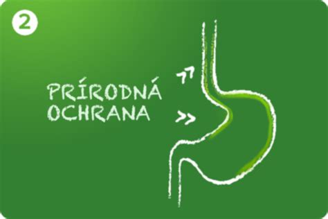 Ilustrácia pažeráka a žalúdka s vyznačeným zvieračom