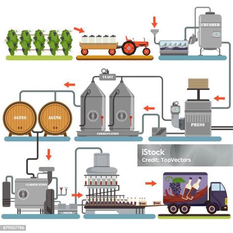 Diagram porovnávajúci proces výroby škótskej a írskej whisky