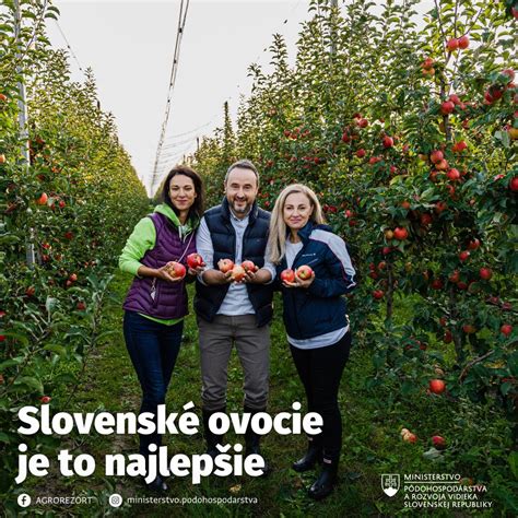 Ilustrácia jablka padajúceho zo stromu