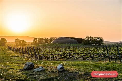 Tokajské vinohrady v jesennom slnku