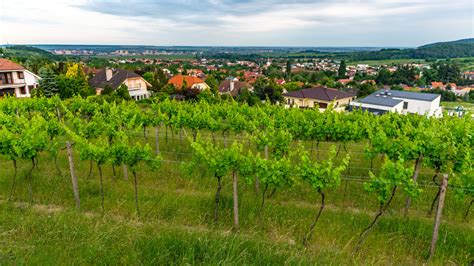 Limbach obec Malé Karpaty
