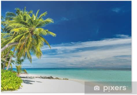 Tropická pláž s palmami a morom