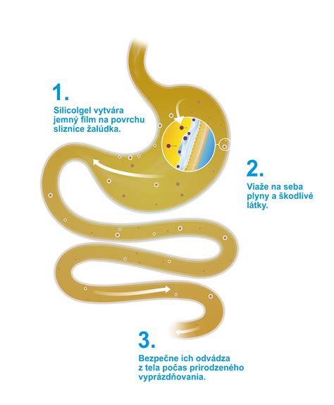 Infografika o zložení piva a jeho potenciálnych zdravotných benefitoch