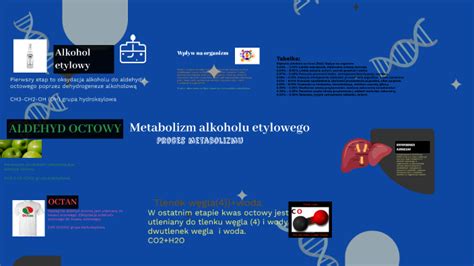 Diagram metabolizmu alkoholu v tele