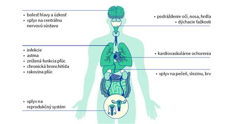 Diagram znázorňujúci negatívny vplyv alkoholu na rôzne orgány