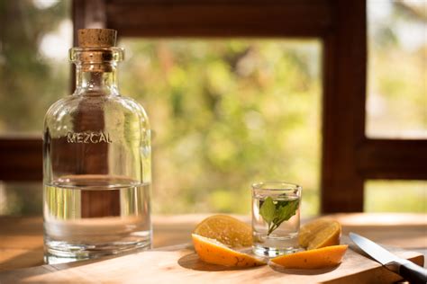 Porovnanie tequily a mezcalu