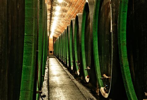 Interiér vínnych pivníc Château Topoľčianky