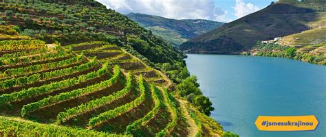 Vinice v oblasti Douro, Portugalsko