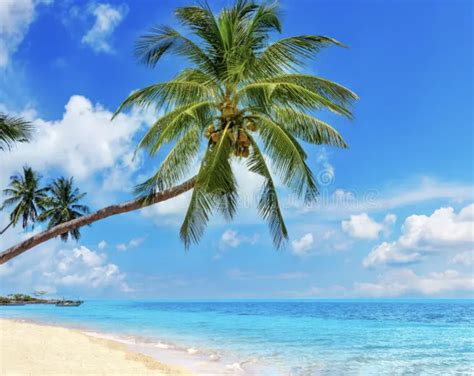 Ilustrácia osoby, ktorá si nalieva alkohol s výrazom smútku.