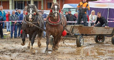 Moderný liehovar v Hniezdnom