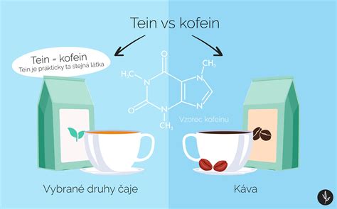 Infografika porovnávajúca zloženie a účinky pivného a vínneho kúpeľa