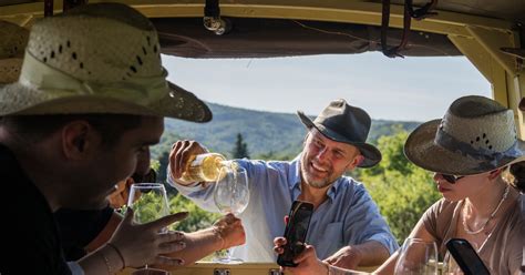 Panoráma Svätého Jura s vinohradmi