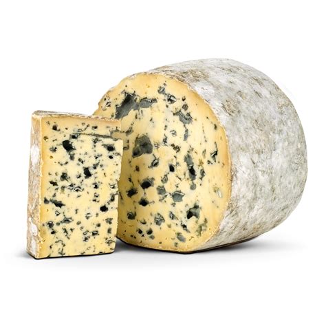 Ilustrácia syra Fourme d’Ambert s modrými žilkami