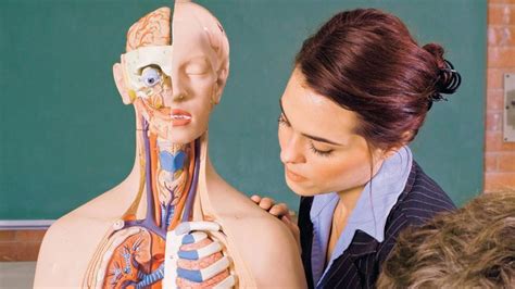 Schematický nákres procesu spracovania alkoholu v ľudskom tele