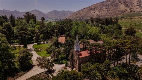 Vinice Viña Santa Rita