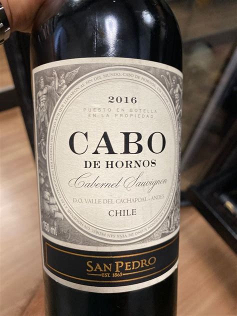 Bodega Cabo de Hornos z Viña San Pedro