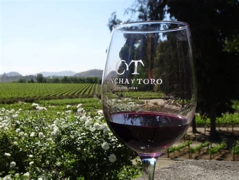 Vinica Quinta de Maipo vo Viña Concha y Toro